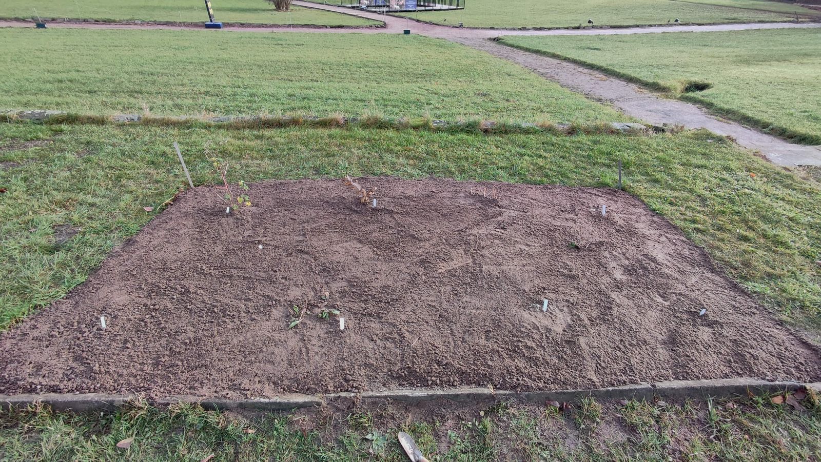 Großes_Beet_24_Nov_2021_Klein.jpg