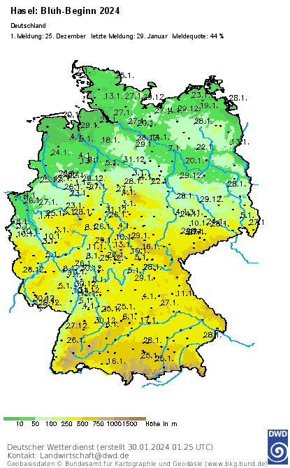 Phänologische Karte der Haselblüte